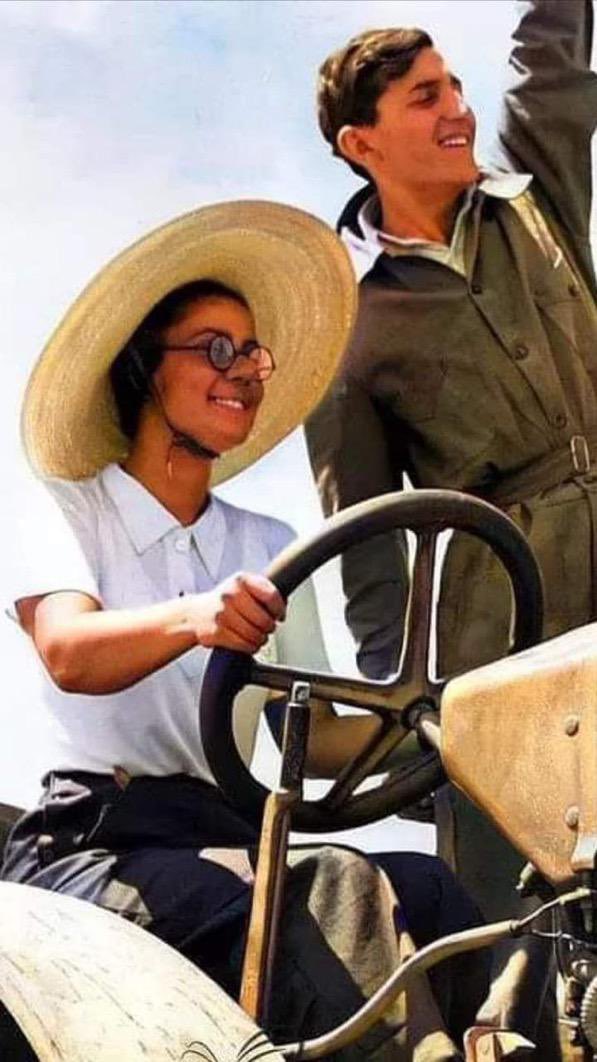 Köy Enstitülerinin duvarında “Burada hiçbir balık uçmaya, hiçbir kuş  yüzmeye zorlanmaz” yazıyordu.

Peki neden böyle yazıyordu? 
Milli Eğitim  Bakanlığı tarafından kadın müfettiş bir okulu teftiş etmek için  görevlendirilir…
Müfettiş okula gitmek için yola koyulur,  ++++