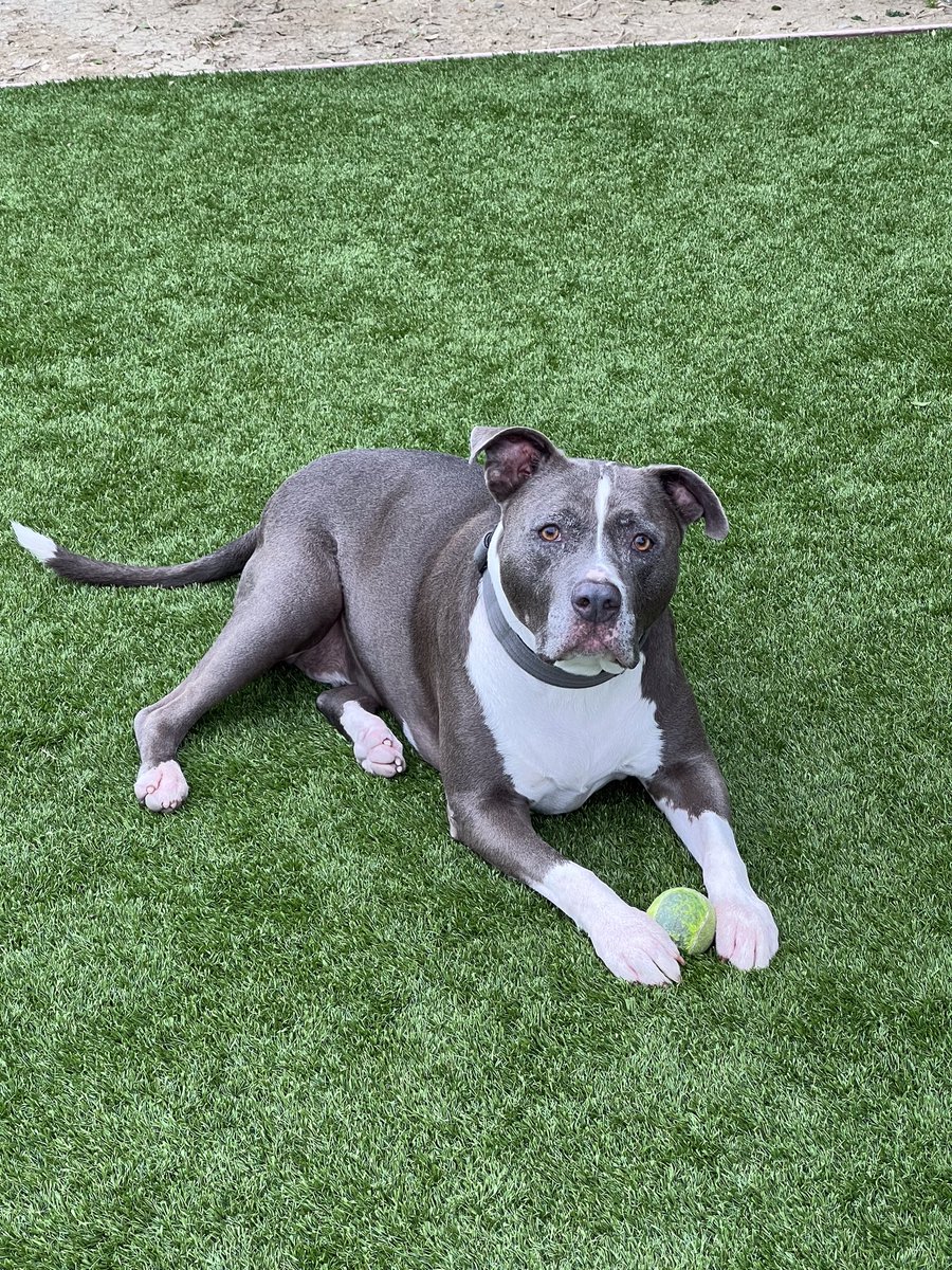 Jeffery Harmell tweet media