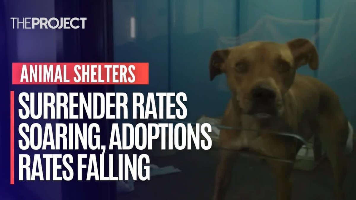 Warrick Humane Society 🐾 tweet media
