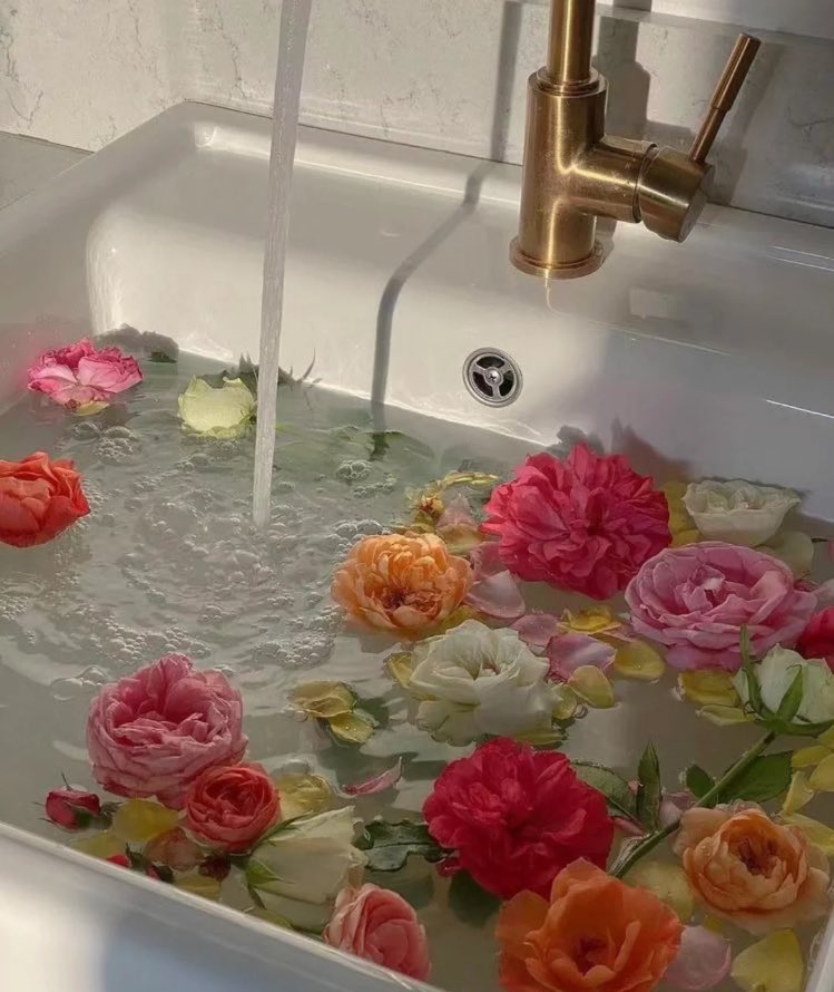 piinkibun's tweet photo. flowers x water https://t.co/43yWUXqQWI