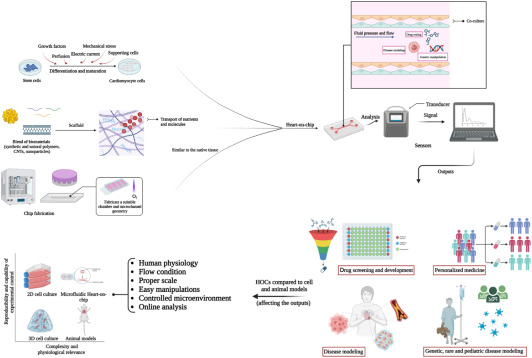 Amirreza Mansoori-Kermani (@amirreza_mans) on Twitter photo Are you interested in the fabrication of #organ_on_chip systems for #cardiac #disease_modeling and #drug_screening?
Read/download our review paper, published in Talanta (IF: 6.1), via the 50-day free access link:
authors.elsevier.com/c/1hQJh94qrAR4z
doi:
doi.org/10.1016/j.tala…
#heart_on_chip Are you interested in the fabrication of #organ_on_chip systems for #cardiac #disease_modeling and #drug_screening?
Read/download our review paper, published in Talanta (IF: 6.1), via the 50-day free access link:
authors.elsevier.com/c/1hQJh94qrAR4z
doi:
doi.org/10.1016/j.tala…
#heart_on_chip