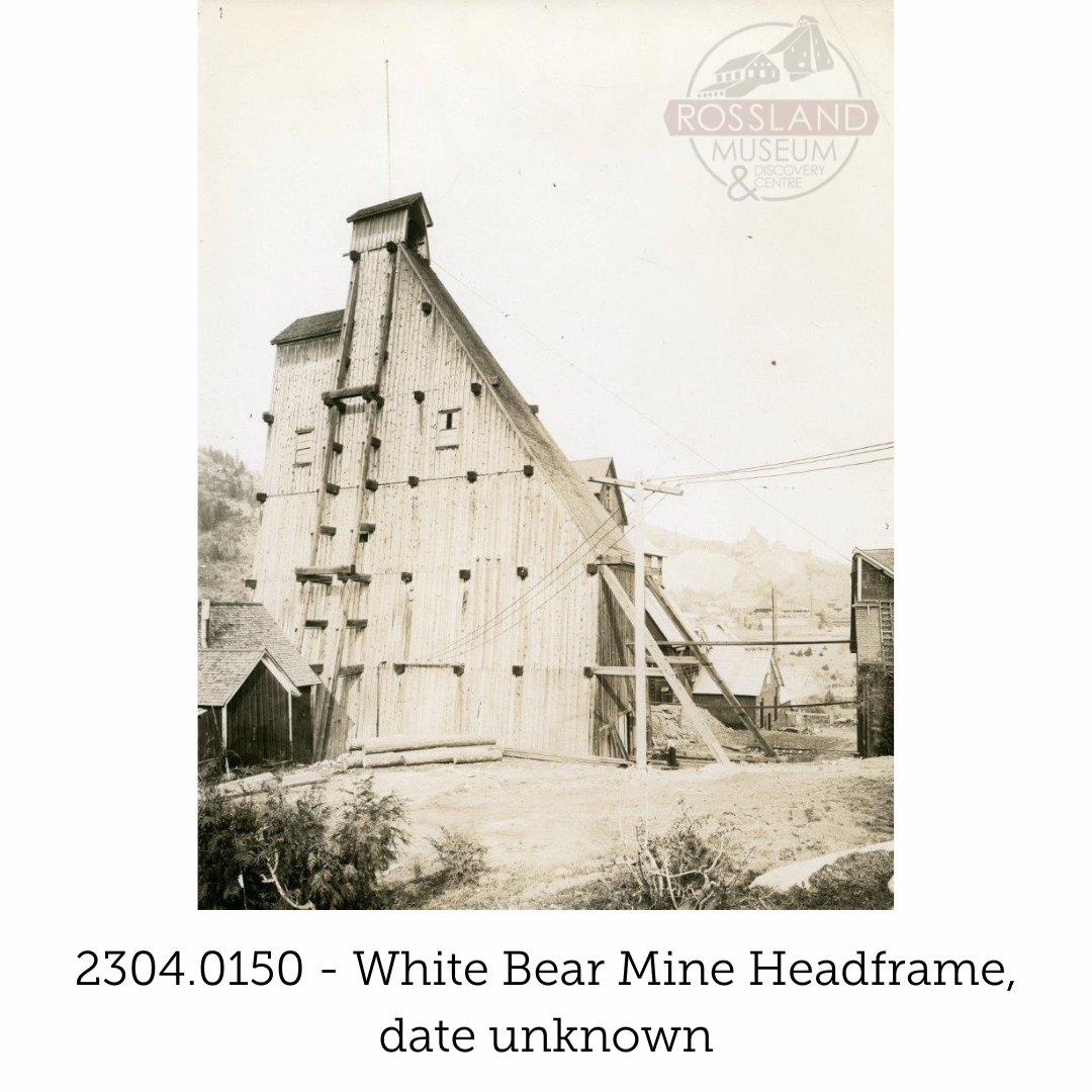 Happy #MiningMonday! Today we're exploring the White Bear Mine. The White Bear Mine was the neighbour to the Black Bear Mine (our location), sitting directly to the west. The mine produced from 1903 until 1920, recovering 72,905 g gold, 229,104 g silver, and 142,064 kg copper.