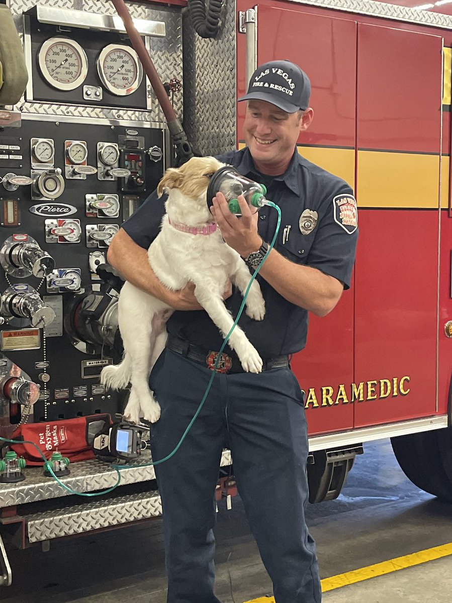 CityOfLasVegas's tweet photo. En este #NationalPetFireSafetyDay, queremos que sepa que @LasVegasFD está preparado para ayudarle a usted y a sus mascotas durante un incendio con:

-Cámaras de imagen térmica 🌡️
-Máscaras de oxígeno para mascotas 🚒
-Paquetes de hielo y agua para refrescar a los animales 🐶🐱 https://t.co/ntgf7SBpo5