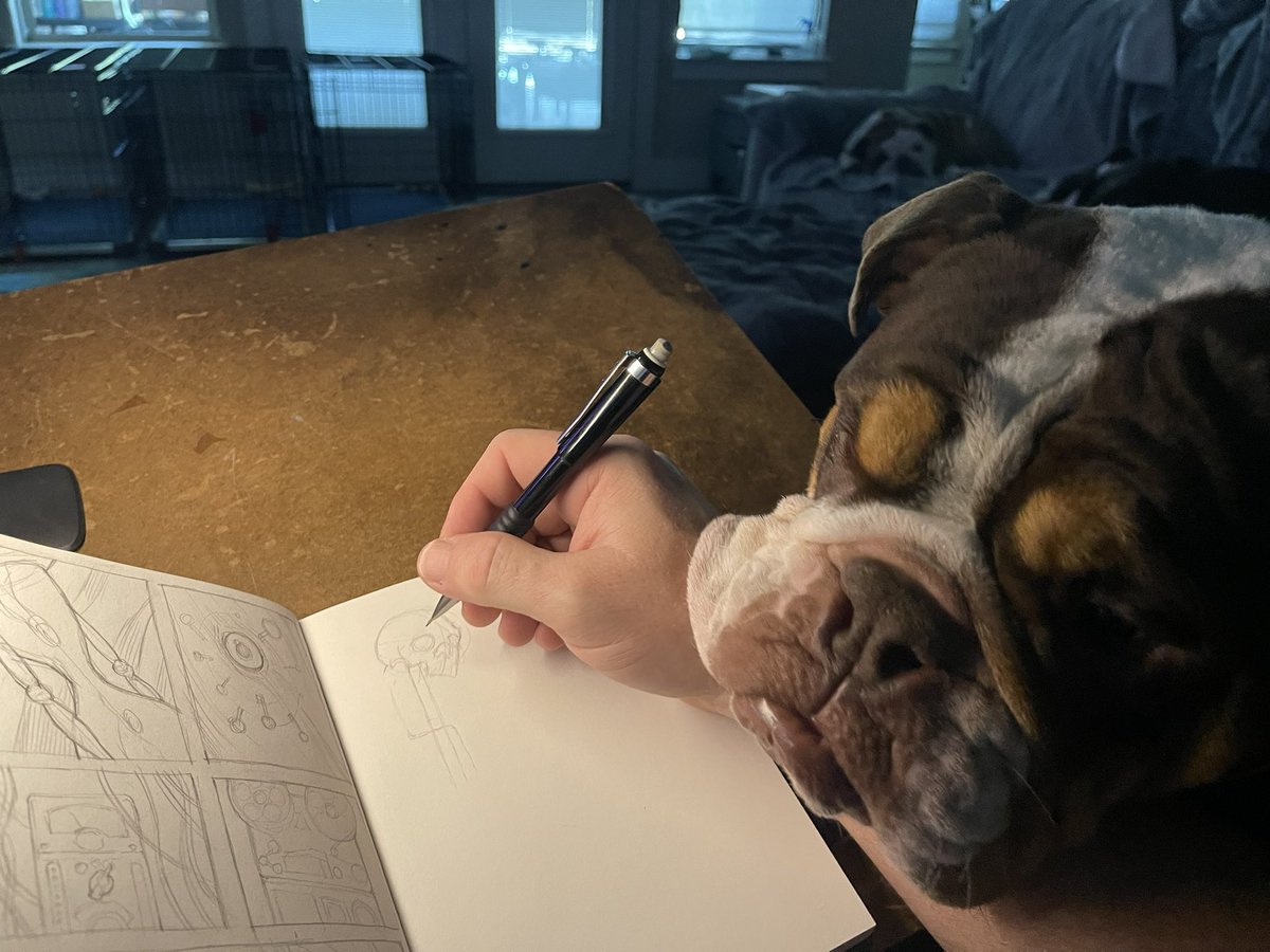 Botched Creative tweet media