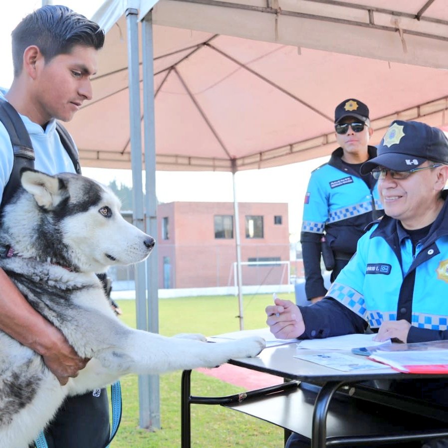 agentesdequito's tweet photo. 🐕‍🦺#QuitoResponsable |Realizamos la selección de canes que se inscribieron en el Curso de Adiestramiento Básico Canino  "Soy lo que tú me enseñas" para calificar los ejemplares aptos para el curso.
👮#SomosAgentesDeQuito y fomentamos la tenencia responsable de animales de compañía https://t.co/SZKLzAZuYc