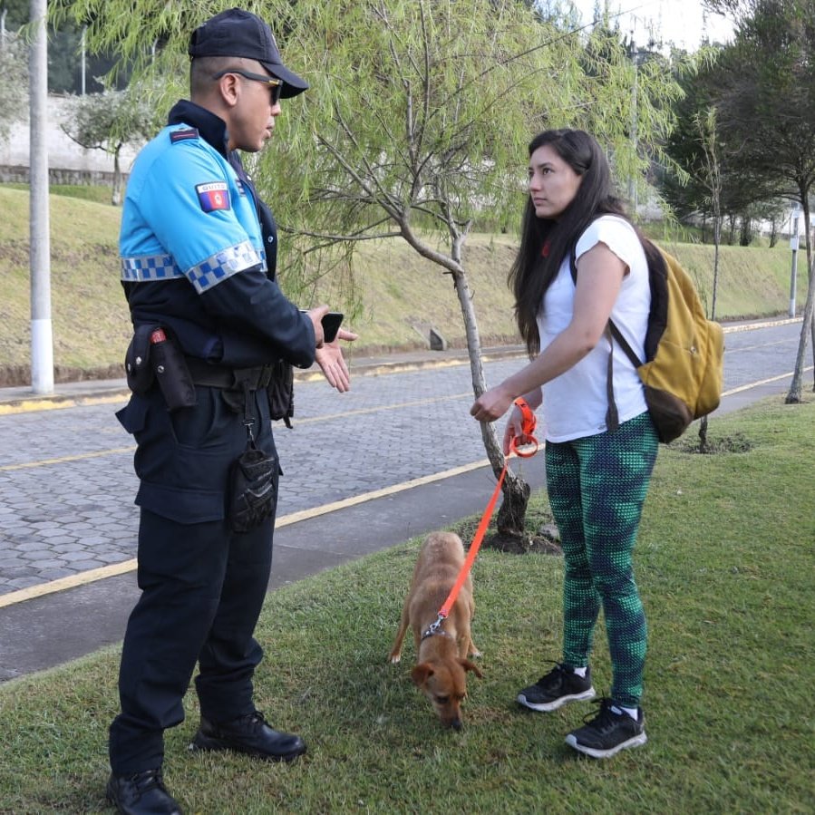 agentesdequito's tweet photo. 🐕‍🦺#QuitoResponsable |Realizamos la selección de canes que se inscribieron en el Curso de Adiestramiento Básico Canino  "Soy lo que tú me enseñas" para calificar los ejemplares aptos para el curso.
👮#SomosAgentesDeQuito y fomentamos la tenencia responsable de animales de compañía https://t.co/SZKLzAZuYc
