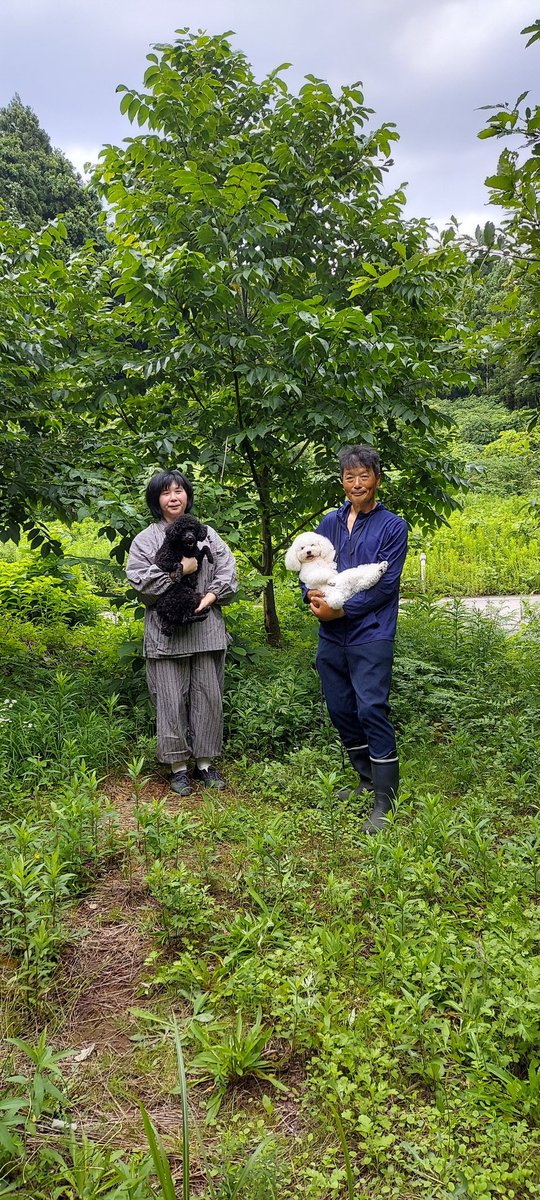 TomokoShioda's tweet photo. ようやく茨城出張の疲れが取れたので旅の片付けをしようと思っていたところ、14日に、名古屋から娘の電話。体調が良くないのでかかりつけの丸岡先生に予約。ラーメンをいただきながら娘の話を聞き、ぐっすり寝た。フ��ンチトースト等作り。義父や夫の作品。政のアルバ���と手帳。森見学。娘の犬と。 https://t.co/LN5ceL7EXl