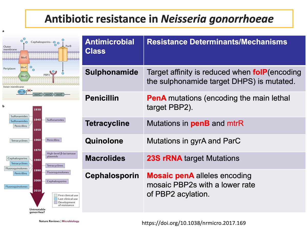 RahulGarg_89's tweet photo. #IDTwitter #AMR 
Antibiotic resistance in Neisseria gonorrhoeae https://t.co/NDmsOVVFDD