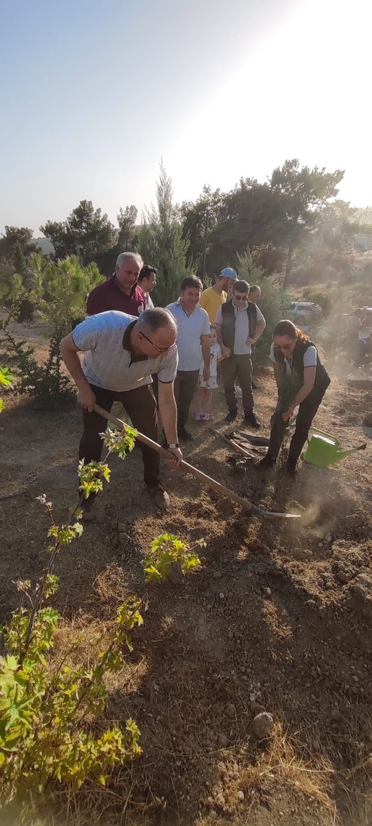pinarbasiokulu's tweet photo. 15 Temmuzda Demokrasi ve Şehitleri Anma Programı kapsamında 15 Temmuz Şehitleri Hatıra Ormanına fidan dikimi. @Erdemli_MEB @Yusuf_acikyoruk https://t.co/5Z0m8ohN6e