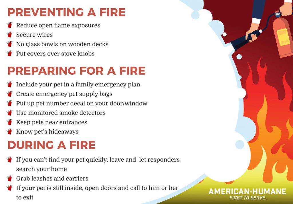 AmericanHumane tweet picture