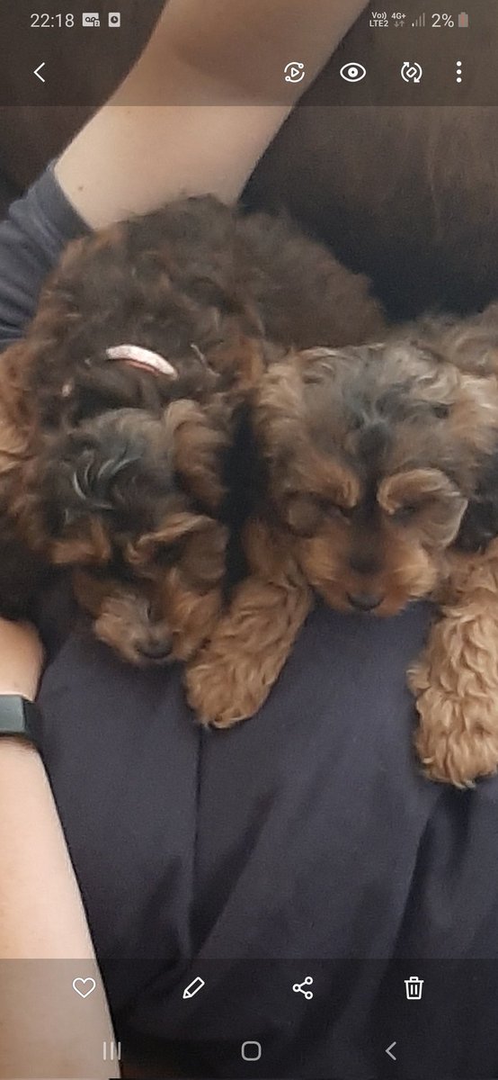 Rosy and Meg say hi!