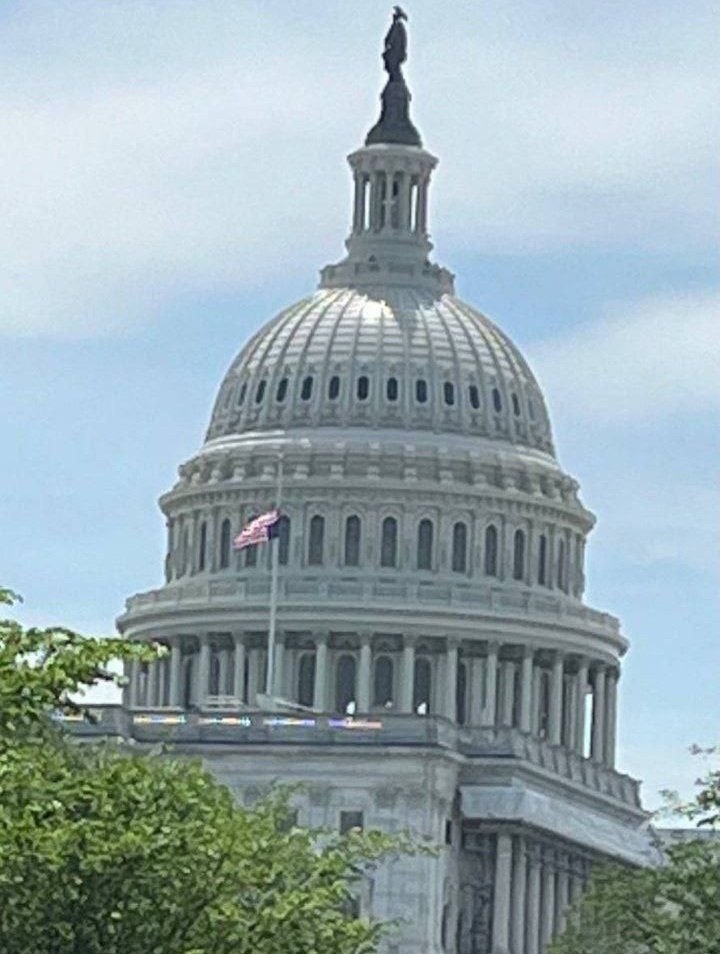 RT @theIOpod: The American flag was spotted being raised and flown upside down at the U.S. Senate. June 18th. https://t.co/cXyUeIMxpW