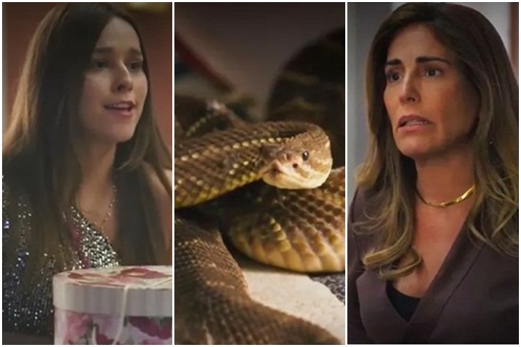 areavip's tweet photo. Terra e Paixão: #Berenice contra-ataca e joga cobra venenosa na cara de #Irene
LEIA 👉https://t.co/S7r7IOU2J1
.
A amante de Antônio (Tony Ramos) descobre que a vilã mandou colocar a peçonhenta em seu armário
#DESTAQUE #Globo #GlóriaPires #TerraEPaixão #ThatiLopes https://t.co/yCbxX99PPY