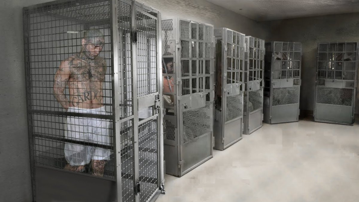 TheAbolitionChristian℠ tweet media
