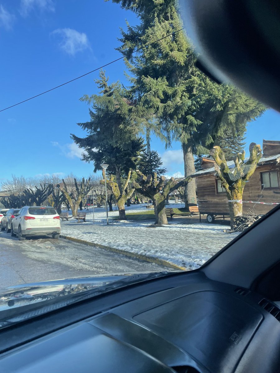 elpatosal's tweet photo. Perdón x la foto, ⁦⁦@conaf_minagri⁩ esto es poda selectiva?⁦@municoyhaique⁩ los felicito x erradicar toda área verde del centro d #coyhaique. Así vamos a atraer más el turismo https://t.co/fucaYg2YX2