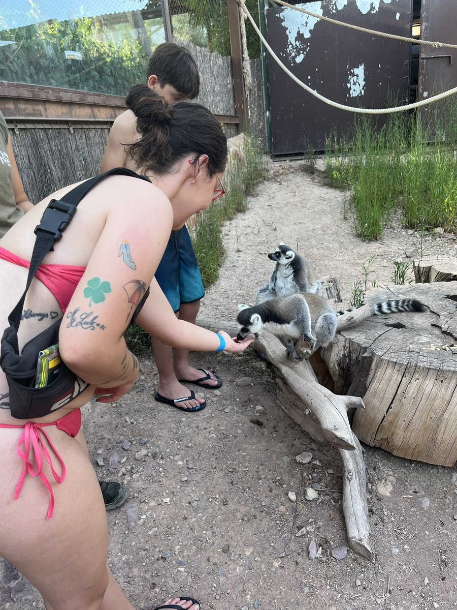 Diosa Venus (@bunny190517) on Twitter photo 