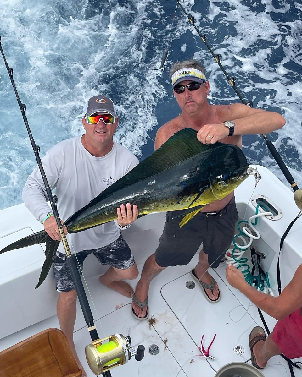 Gorgeous Mahi caught by Perseverance 🙌

#BMGC #TheWharfMarina #TheWharfOBA #OrangeBeachAlabama #BlueMarlin