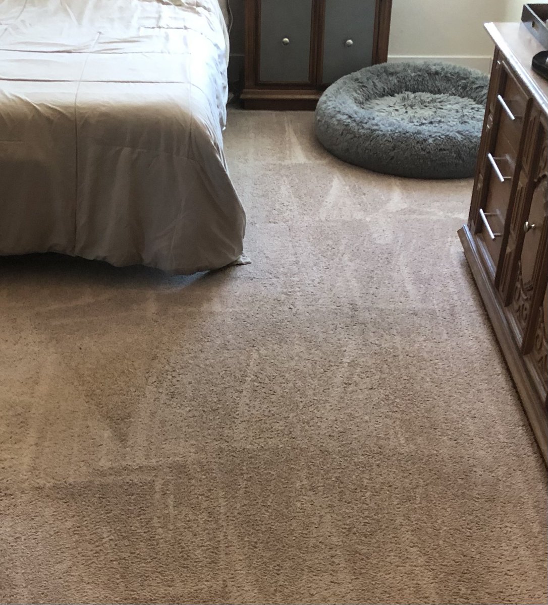 Jdolio's tweet photo. Is it just me, or are fresh vacuum patterns in a room supremely satisfying? https://t.co/E3r6TBMS4N