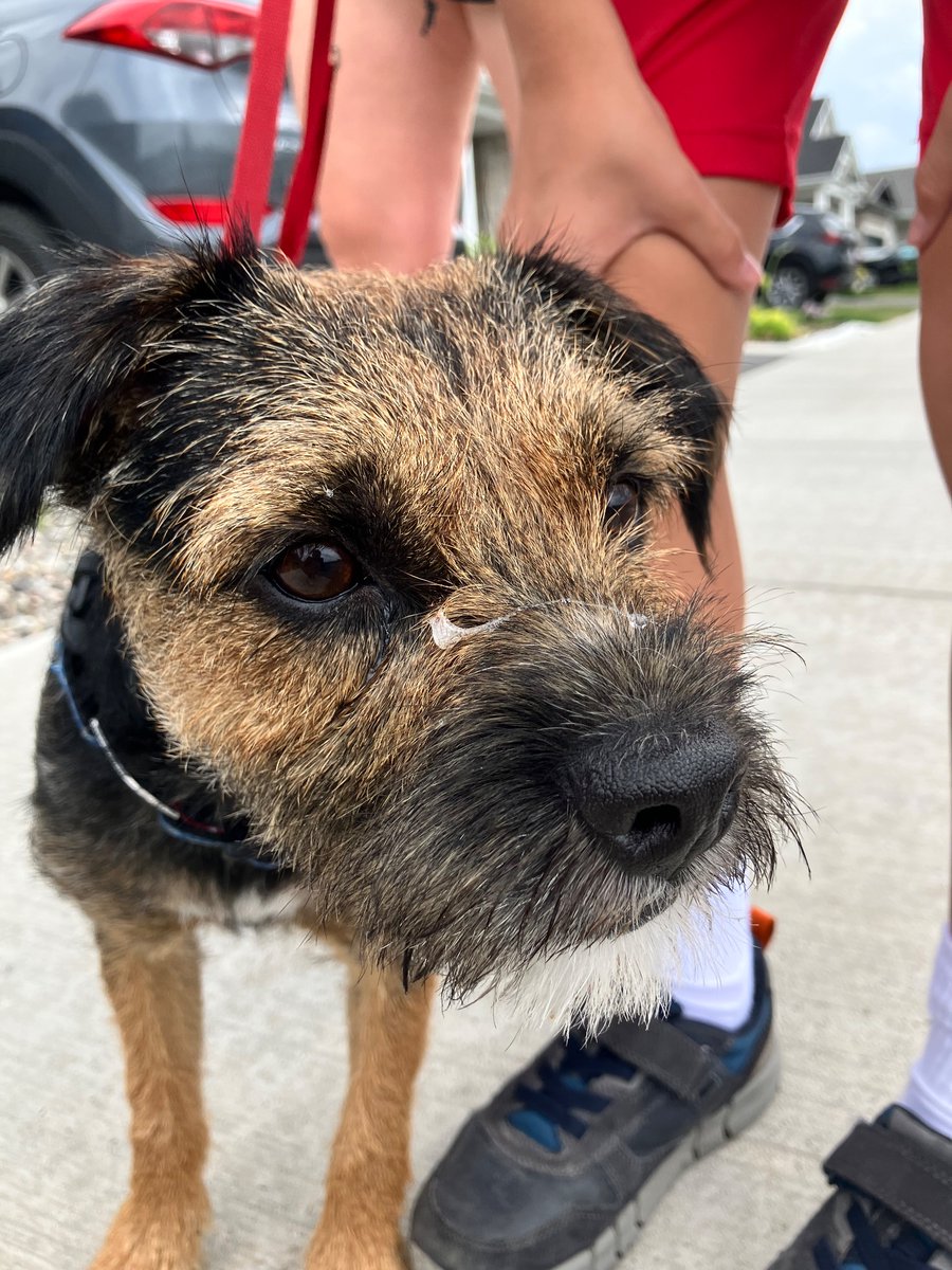 I got some boogers on me, curse you <a href="/LoBroWat/">Blackthrush Plays</a> for taking pictures 
of me at my worst 😾😤#btpose