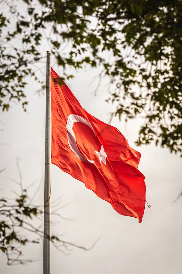 SAMTAL34's tweet photo. "Egemenlik, kayıtsız şartsız milletindir."

15 Temmuz Demokrasi ve Milli Birlik Günü  Kutlu Olsun.

                                   M.Aslan 
                                Okul Müdürü https://t.co/3zwkJSWnLe
