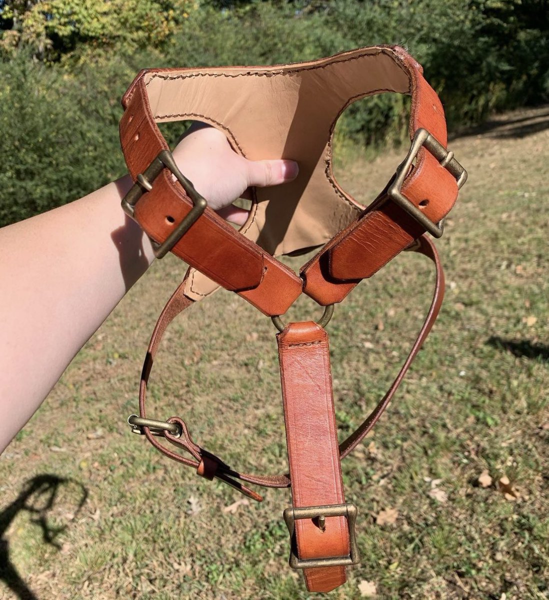 MackLeather's tweet photo. #MackerrasLeatherworks

🦴🐾🐕‍🦺🐩🦮🐕🐶

🤠🐮🐄

https://t.co/tAfIapwM6m https://t.co/bi996HYRKi