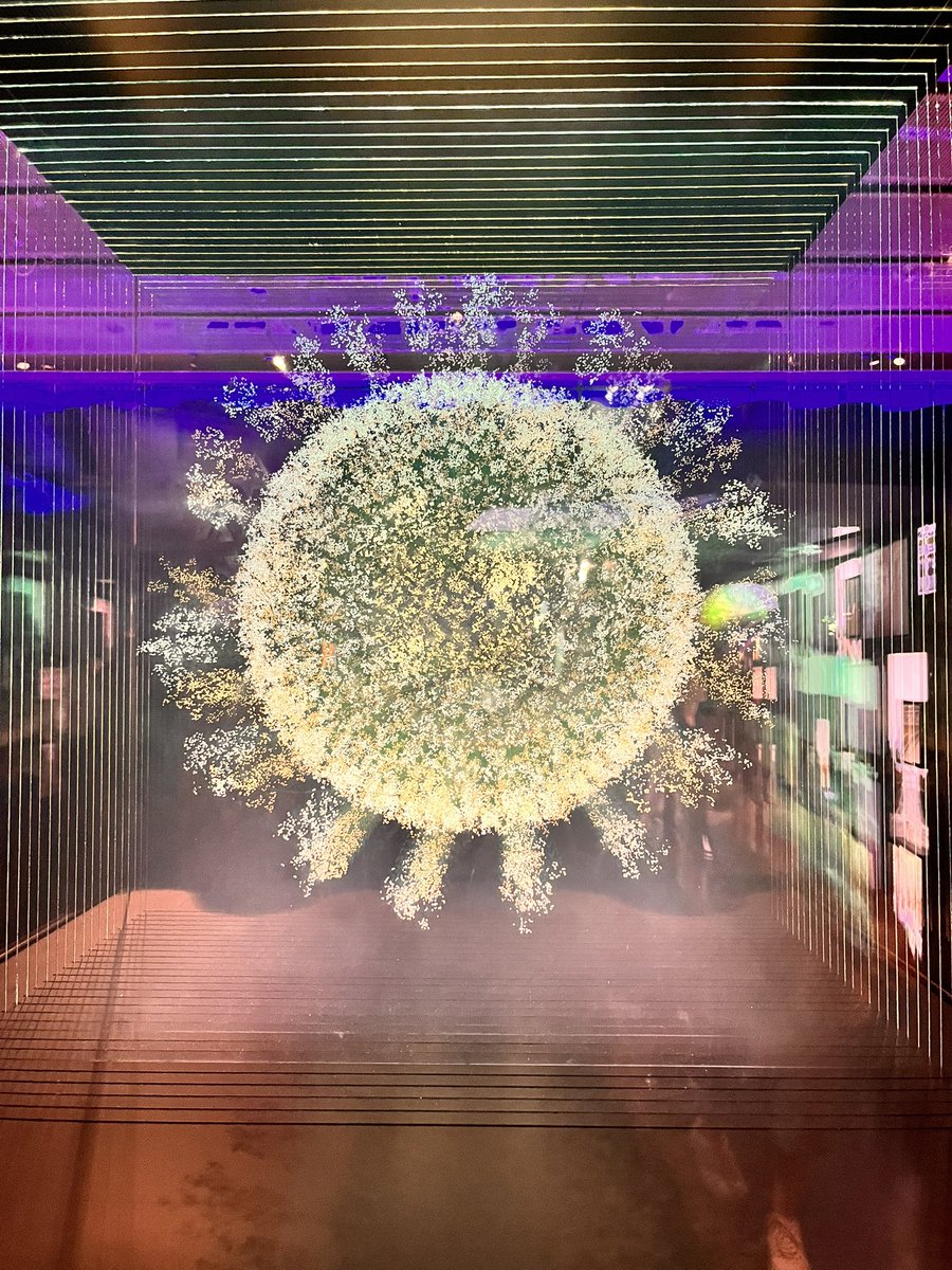 Isobel Webb tweet media