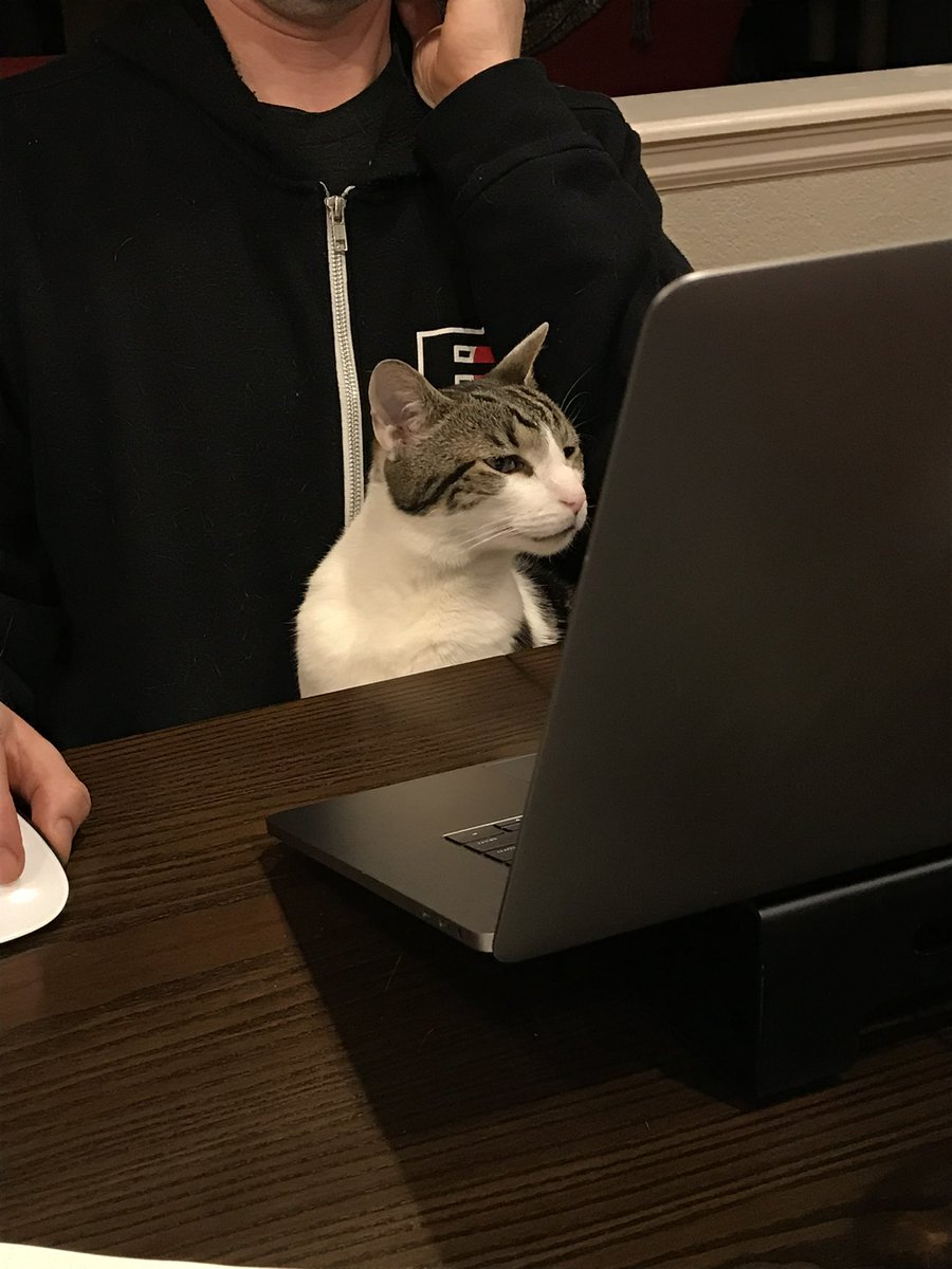 CatWorkers's tweet photo. https://t.co/qb7tJQ7vGz