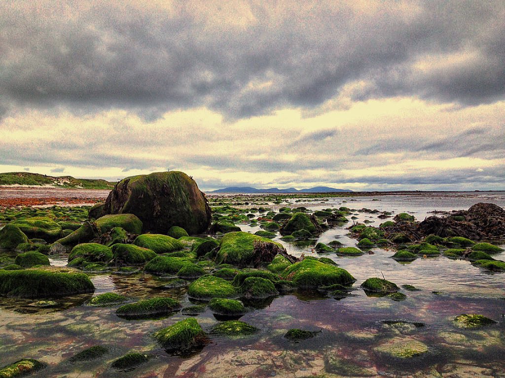 frenchscotjeff's tweet photo. To embrace the changing tide
#weekendvibes
#natureconnection #oceanbeach #oceanmind #oceantime #mentalhealth
#seatherapy
#ThePhotoHour #bluemind #jefinuist #OuterHebrides #Scotland https://t.co/x5GPTQuHKo