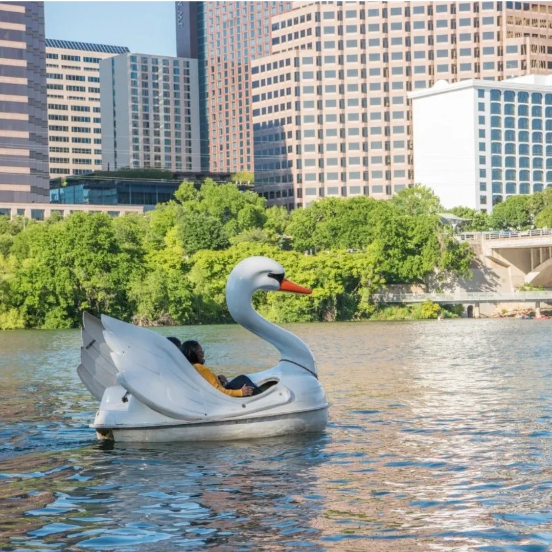 Capital Cruises tweet media