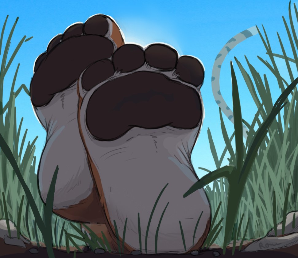 RoshanTiger1 tweet picture