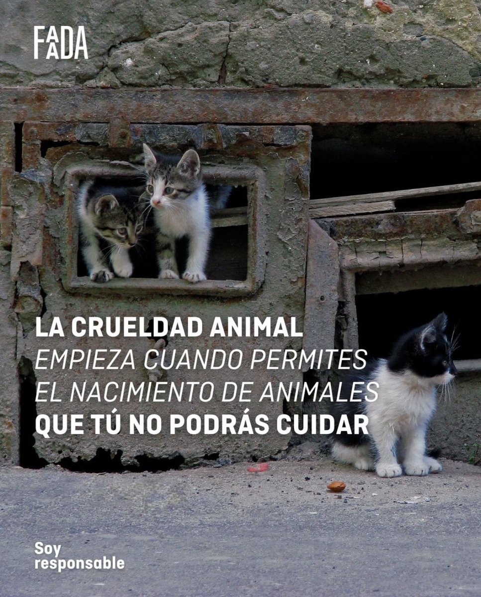 Esterilizar\Castrar y adoptar son las únicas formas de combatir el maltrato superpoblación y abandono de animales. Se responsable no permitas que nazcan animales que NO podes cuidar ❤️🐾
