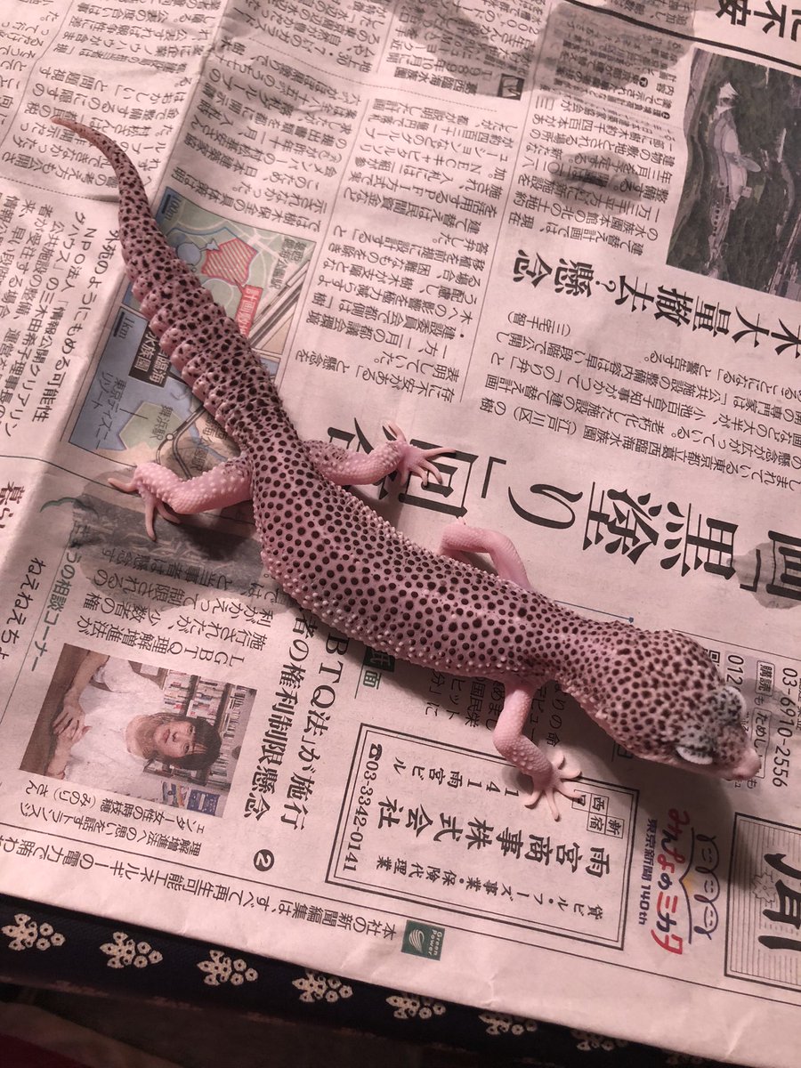 Leonanasan's tweet photo. https://t.co/wfrQmNZ1rR