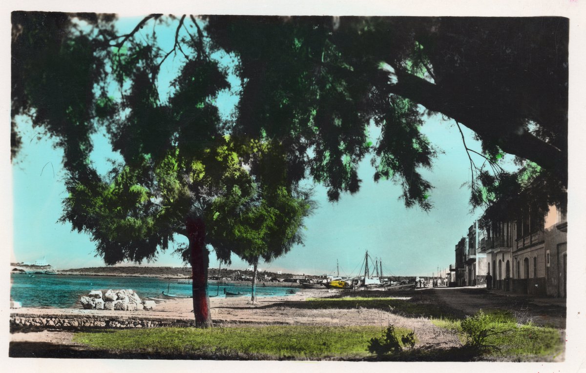 carme_pino's tweet photo. Portocolom, 1917. 📷📷
#portocolom #duana #passat https://t.co/EgFzQX5Ywt