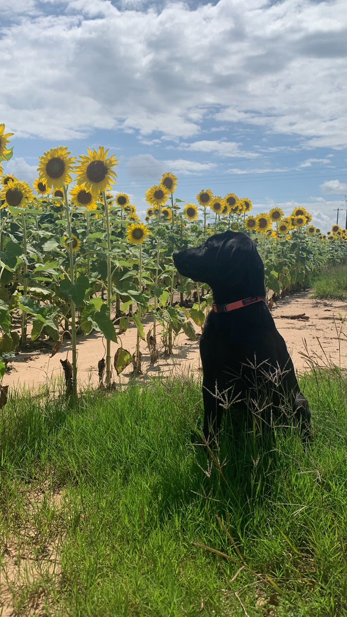 She’s growing so fast 💕