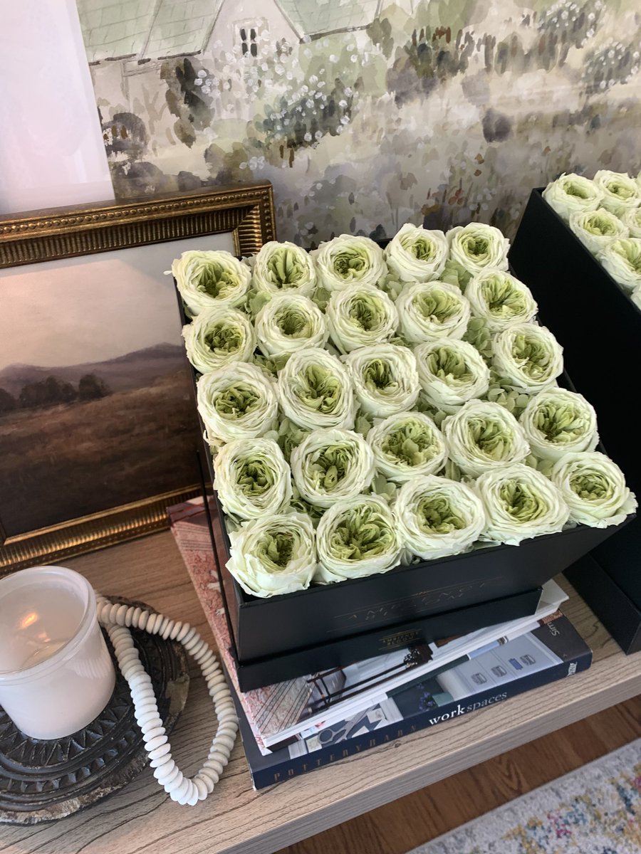 AmbienceBloom's tweet image. Our “Premium Garden Roses” ambiencebloom.com/collections/ab… #womenownedbusiness  #rosé #roseboxes #eternityroses #preservedrosesmiami #preservedrose #flowerstagram #strongwomen #businesswomen #interiordesign #womensfashion #hatboxflowers #redroses #neutraldecor #foreverroses