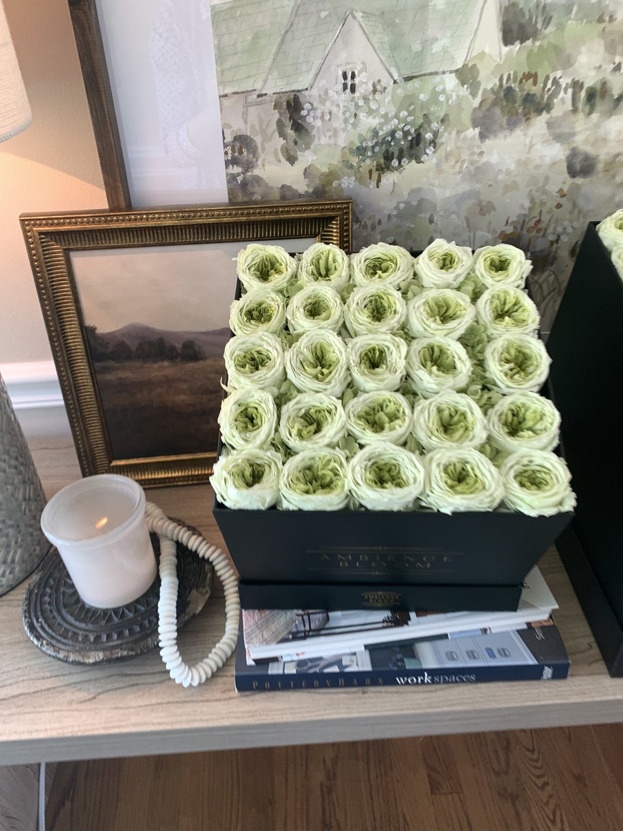 AmbienceBloom's tweet image. Our “Premium Garden Roses” ambiencebloom.com/collections/ab… #womenownedbusiness  #rosé #roseboxes #eternityroses #preservedrosesmiami #preservedrose #flowerstagram #strongwomen #businesswomen #interiordesign #womensfashion #hatboxflowers #redroses #neutraldecor #foreverroses