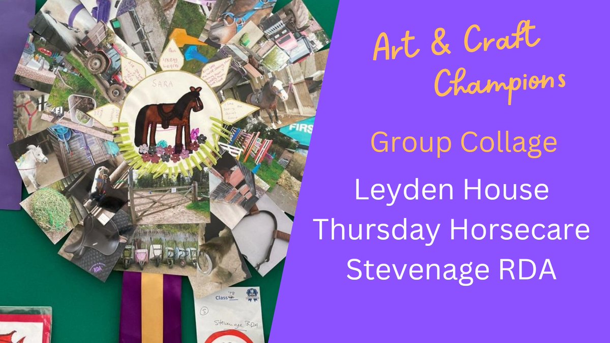 Stevenage & District RDA tweet media