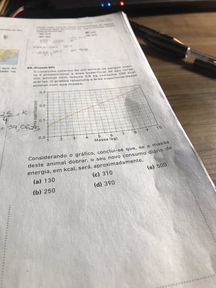 andstudys's tweet image. Minha companhia para os estudos da madrugada :(