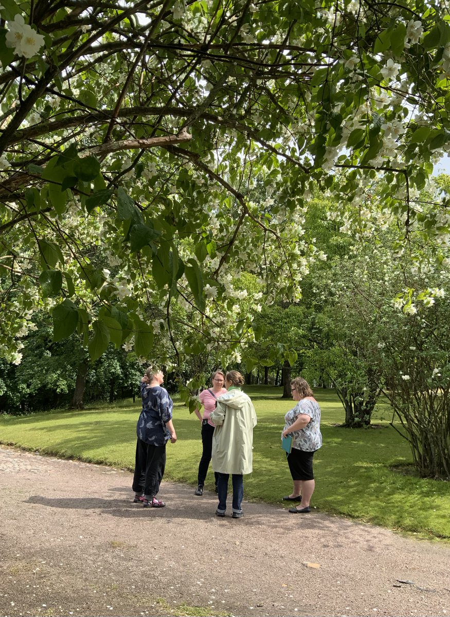 ASYn hallitus on työskennellyt hetkittäin kesälläkin. Uusi artikkeli sivustossamme kertoo, millaisten teemojen parissa puuhailemme.

asy.fi/asyn-kasikirja…