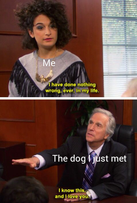 WholesomeMemes (@wholesomememe) on Twitter photo 