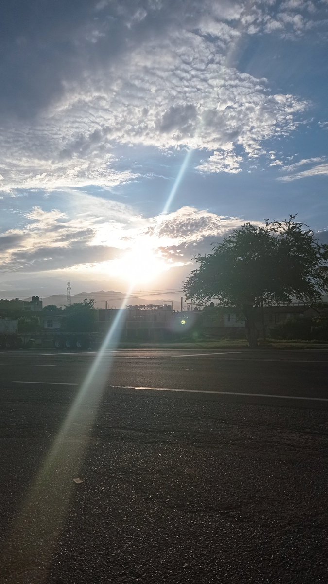 Edwin_F_S's tweet photo. Que paz me da caminar y tomar fotos a lo que me encuentro 👌 https://t.co/FuWyeRH35K