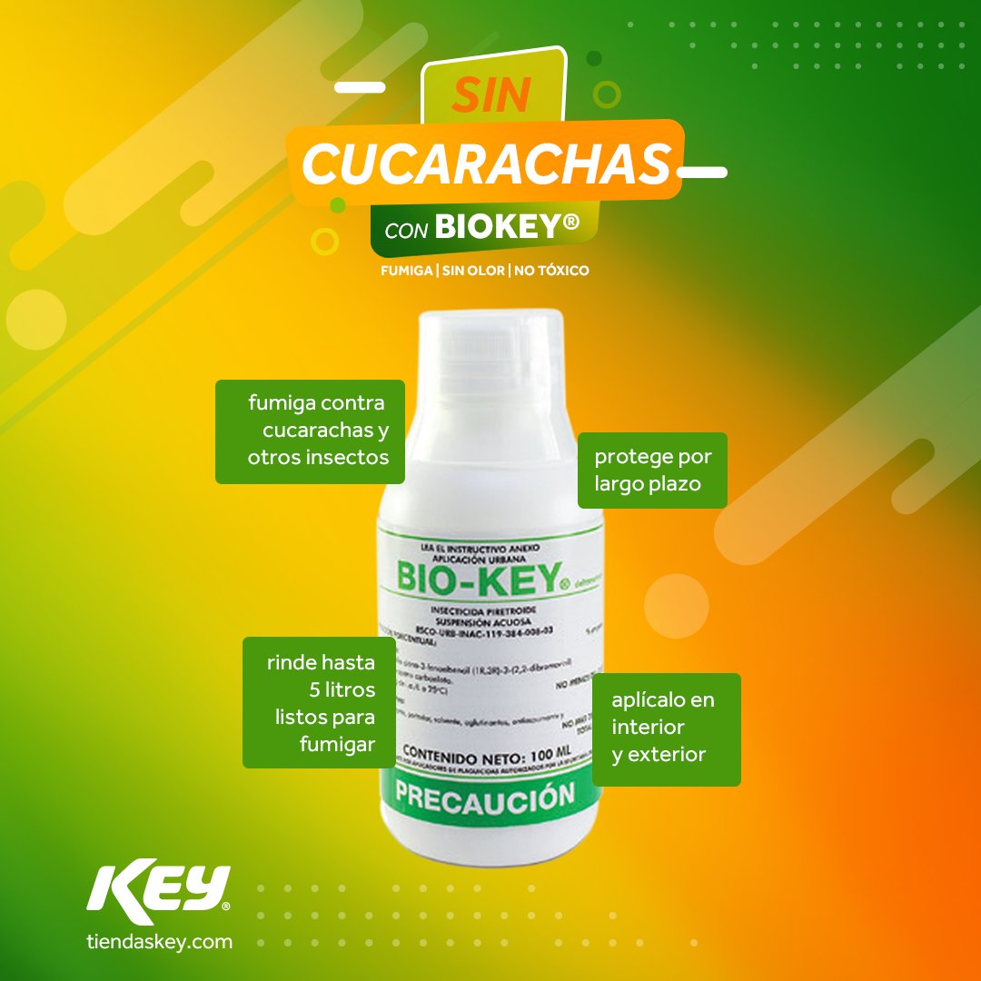 tiendaskey's tweet photo. 🚫🪳🕷Sin cucarachas, sin arañas
Con #BIOKEY fumiga tú misma, en cualquier época del año, sin riesgo y sin necesidad de contratar a alguien más
🏪 Disponible en Sucursales #Monterrey y #Saltillo
💻 Haz tu compra en https://t.co/xbN1J4hkAh
#TiendasKEY ##SinCucarachas #BIOKEY https://t.co/fQ2uSWIyS4