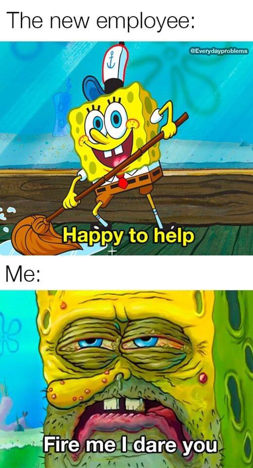 saddlercaroline's tweet photo. @NoContextHumans https://t.co/GJT2W0gP1H