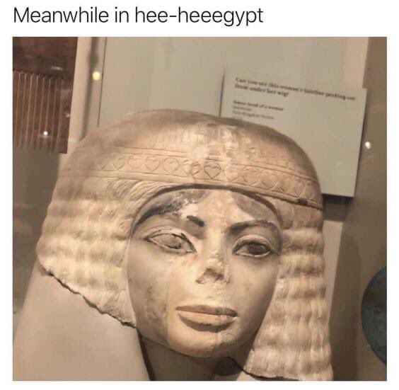 saddlercaroline's tweet photo. @NoContextHumans https://t.co/GJT2W0gP1H