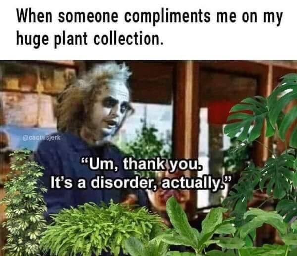 saddlercaroline's tweet photo. @NoContextHumans https://t.co/GJT2W0gP1H