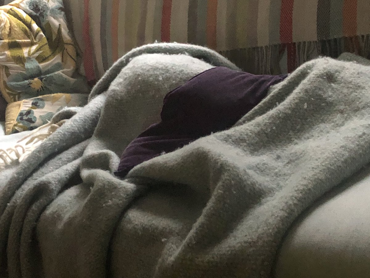 Where’s de Whippet???