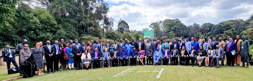 Today marks a turning point in Africa’s journey towards stable & #InclusiveTransitions!

The launch of #AFSIT, the Africa Facility for #InclusiveTransitions, is complete! 🚀 

@_AfricanUnion 
@UNDPAfrica @Bankole_Adeoye @ahunnaeziakonwa