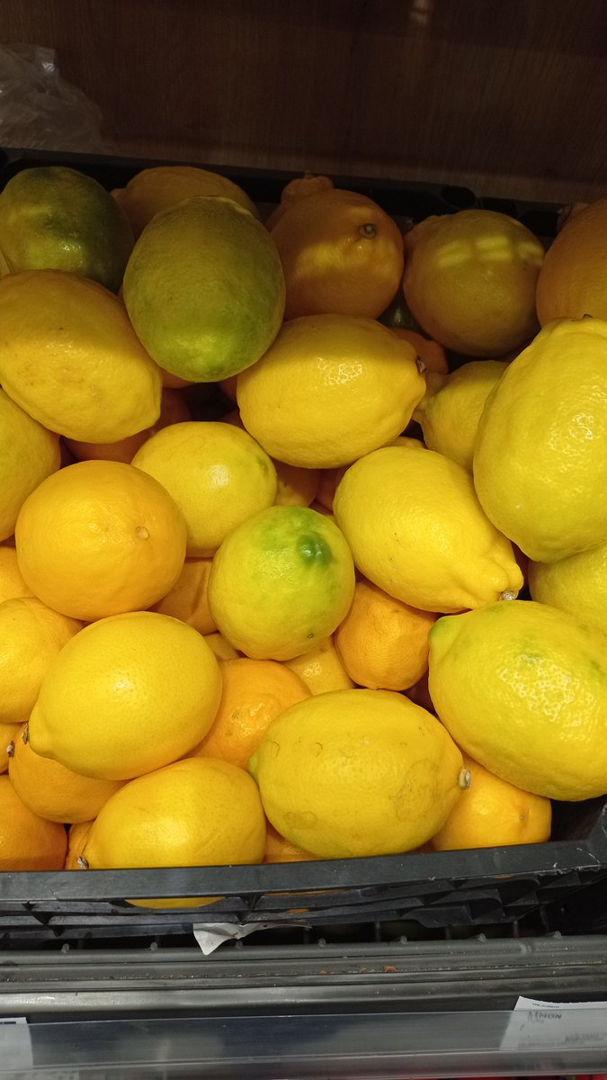 iamserife's tweet photo. Geleneksel şans limonu beğenen istediği üniversite ve bölüme yerleşiyor 
 #yks2023 #sonuc https://t.co/GbPY6V2HHo