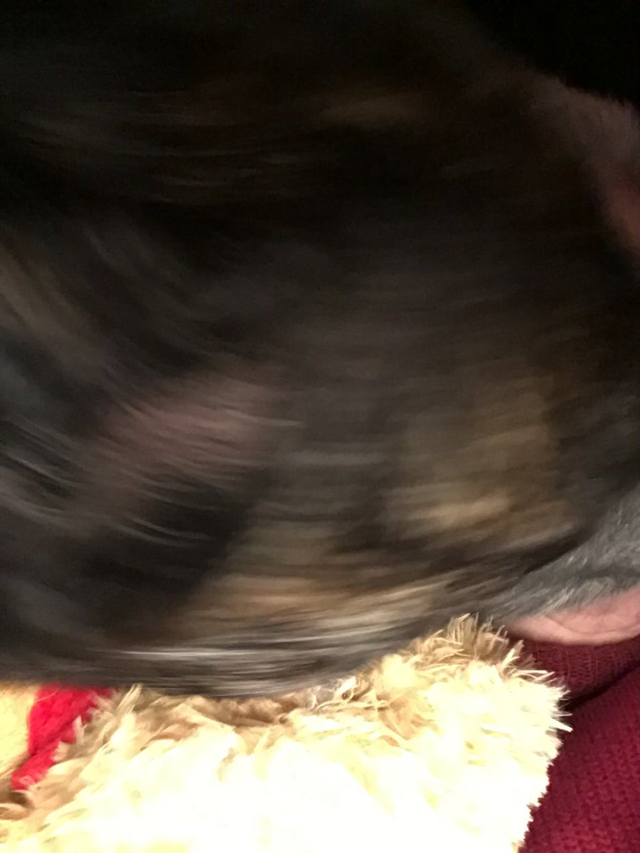 tootine's tweet photo. @TheRealDudja i kid you not…. https://t.co/2M1WimFVwW