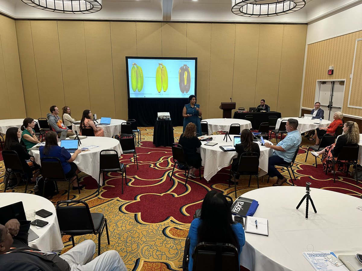 Jimmy Minichello tweet media